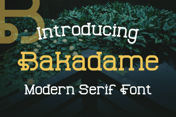 Bakadame Display Font for Standout Digital Branding